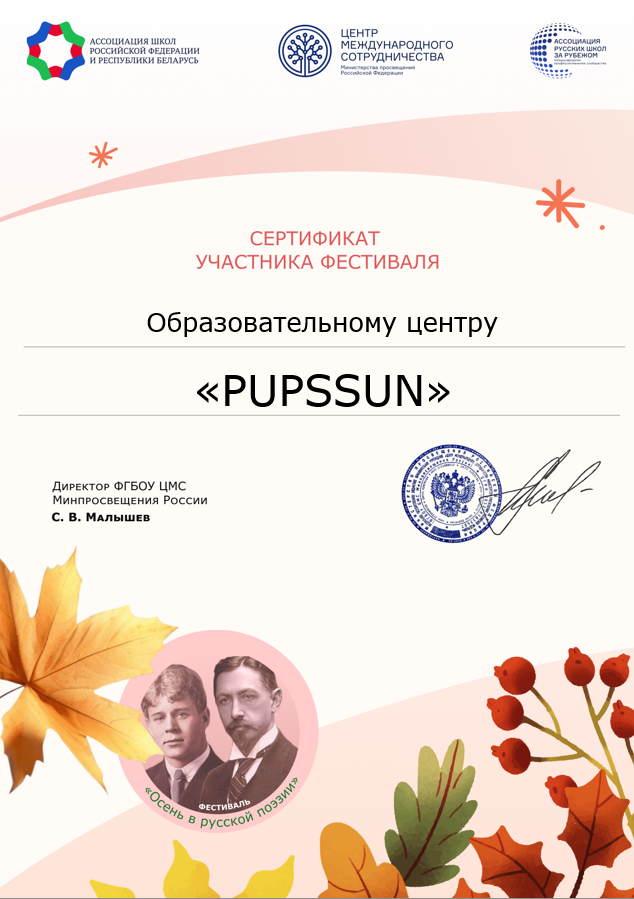 Сертификат участника фестиваля образовательного центра «ПУПСАН»